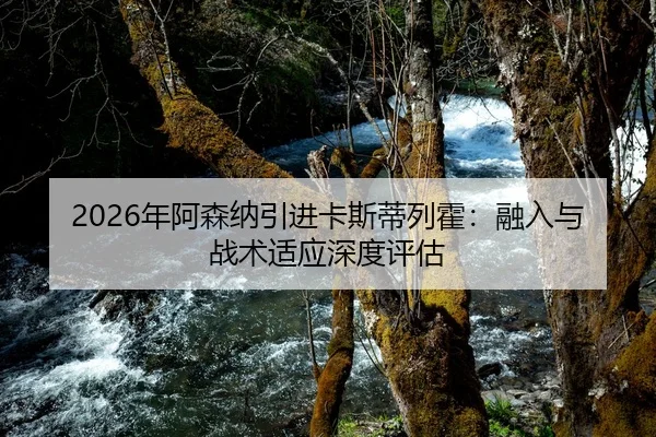 2026年阿森纳引进卡斯蒂列霍：融入与战术适应深度评估